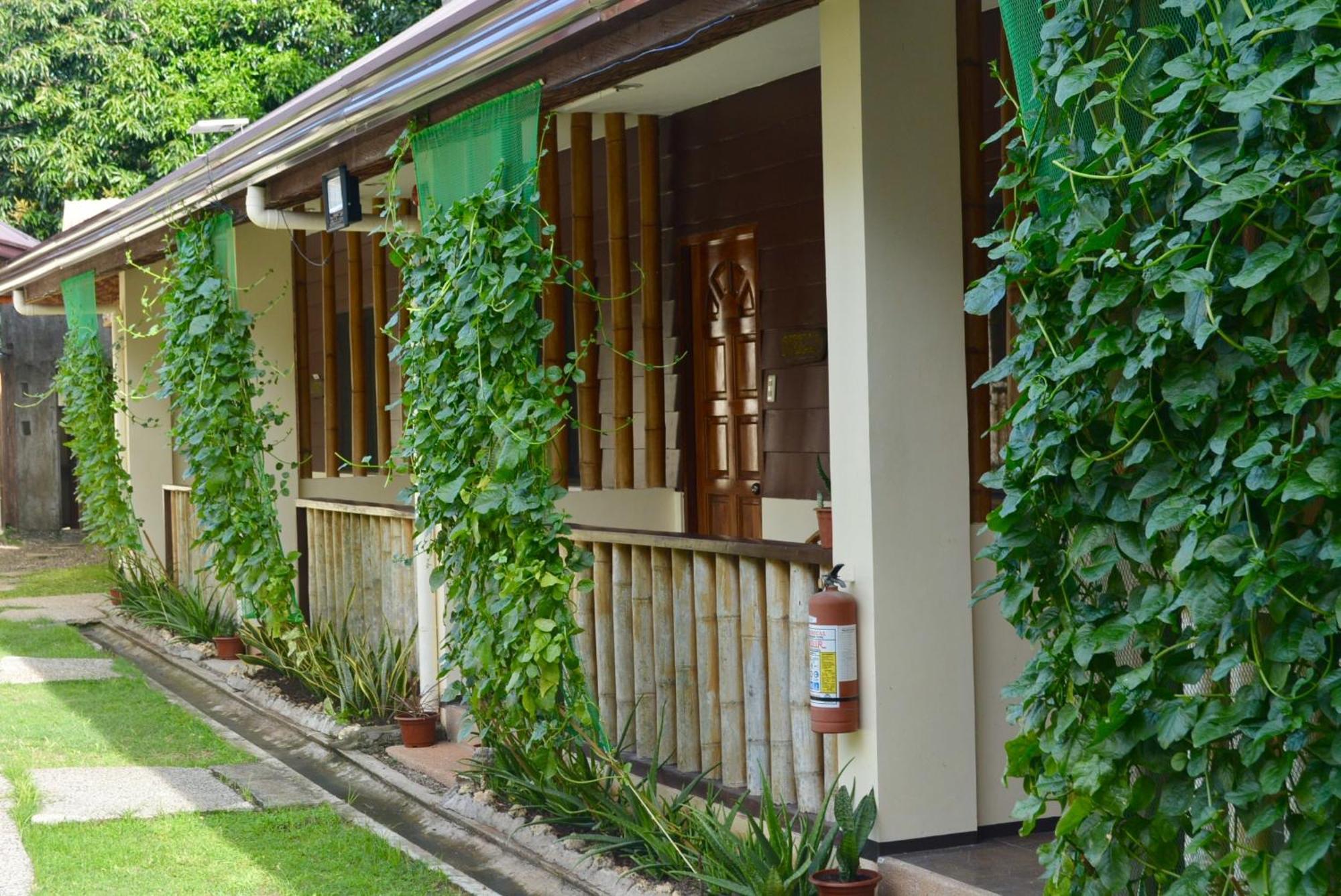 Chiisai Natsu Resort Bolod  Exterior photo